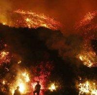 Губернаторът на Калифорния обяви извънредно положение на територията на целия щат заради пожарите

 