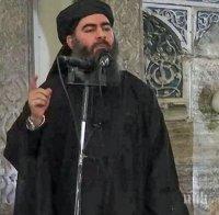 ШПИОНСКИ ИГРИ: Кюрд свил гащите на главореза Багдади - дават му 25 млн. долара награда