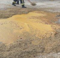 ООН предлага помощ на Бразилия след петролния разлив