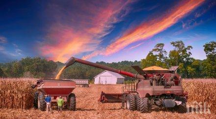 проверяват земеделски производители еднодневни трудови договори