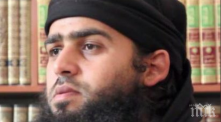 възмездие сащ гръмнали един джихадист ислямска държава