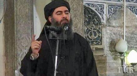 шпионски игри кюрд свил гащите главореза багдади дават млн долара награда