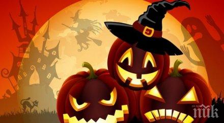 знакът тиквите очаква зодиите хелоуин