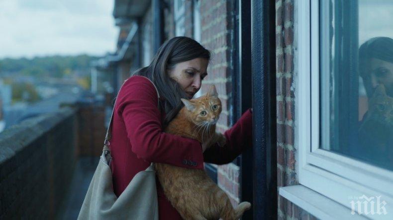 Котка в стената на Весела Казакова с премиера на Киномания 2019