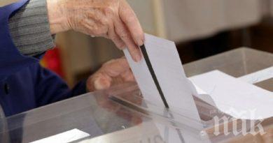 90-годишната баба Верка е единственият гласоподаветел от кюстендилско село Цървендол