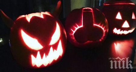 ИЗВРАЩЕНИЕ: Тикви с пениси хит за Хелоуин