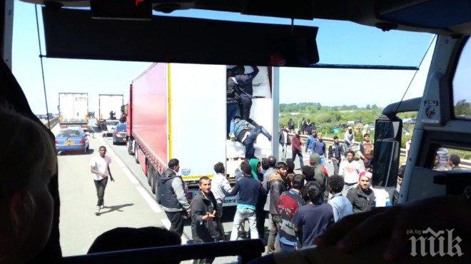 Осем мигранти, сред които четири деца, открити в хладилен камион в пристанището на Кале