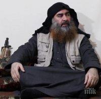 Крадецът на гащите на ал Багдади взима 25 млн. долара