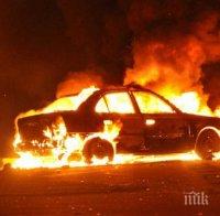 млада жена изгоря колата удар дърво