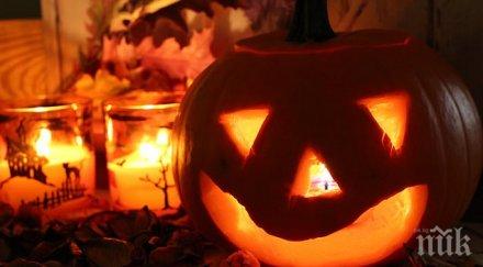 позор училищата девня проспаха деня народните будители отбележат евентуално понеделник учениците радват повече хелоуин