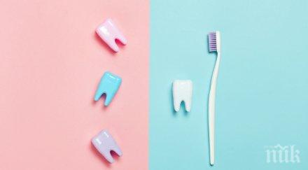 образуват кариесите