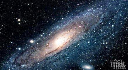 звездите говорят подстрижете сексът ласки целувки