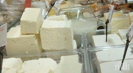 млекопреработватели алармират увеличено производство палмови продукти