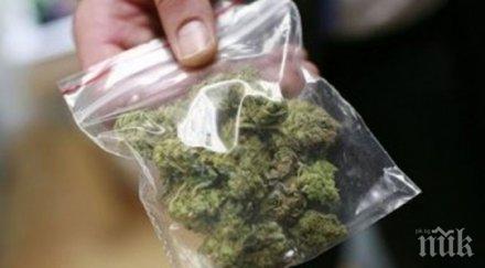 спипаха непълнолетен трева сахат тепе