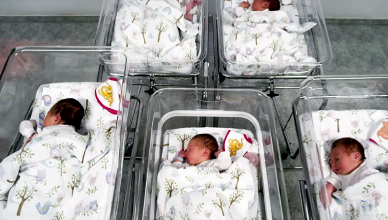 ДНК: Американец откри повече от 20 свои инвитро братя и сестри