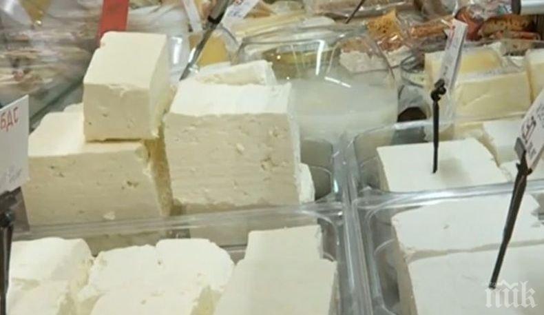 Млекопреработватели алармират за увеличено производство на палмови продукти