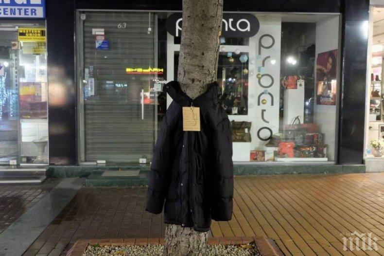 Дупничани обличат дървета за бедни