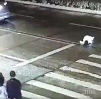 Блъснаха жена на зебра в Гоце Делчев