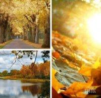 Тазгодишният месец октомври е най-топлият в света досега