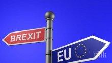 Три партии гласуват срещу Брекзит в британския парламент