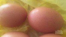 ШОК: Мъж изяде 41 яйца и умря