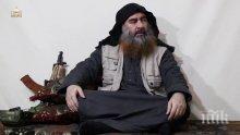 Заловиха сестрата на убития лидер на "Ислямска държава" Абу Бакр ал Багдади