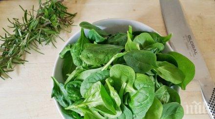 души натровиха спанак истанбул