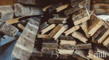 протест 4000 румъния въстанаха дървената мафия