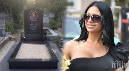 далеч прокълнатия апартамент фаталната анита мейзер покри тайно