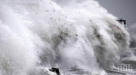 япония отпуска милиарди тайфуните