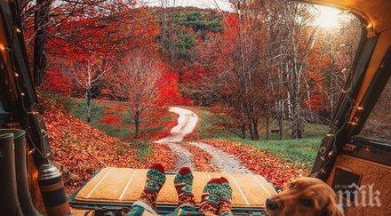 звездите говорят повишава романтичната нагласа задължително подрежете косата поне милиметър