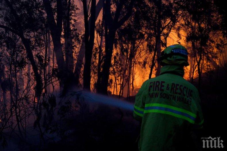 Над 90 горски пожара бушуват в Австралия