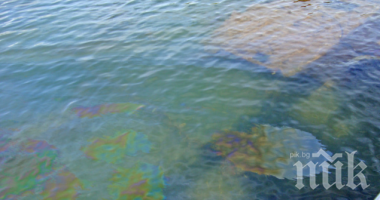 Петролен разлив затвори плажове в Мексико