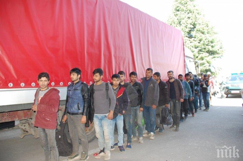 Гръцката полиция намери 41 мигранти в хладилен камион