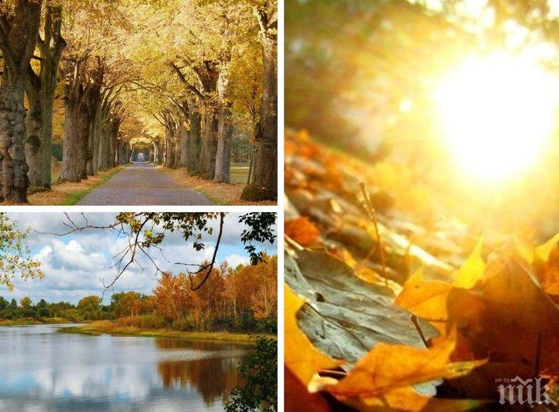 Тазгодишният месец октомври е най-топлият в света досега