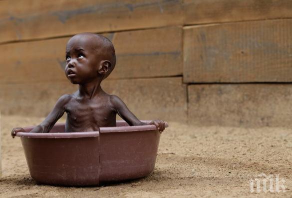 ООН: Хората изпитващи шоков глад се увеличи за последните 5 години