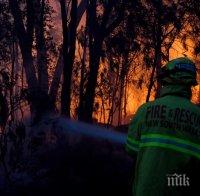 Жертвите на пожарите в Австралия станаха три