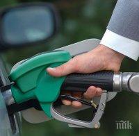 ПРОГНОЗА: Цените на горивата остават без промяна през септември