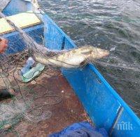 Унищожават мрежите на рибари бракониери