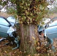 ТРАГЕДИЯ НА ПЪТЯ: Млада шофьорка се заби в дърво и загина на място 