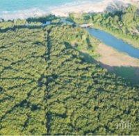 МИСТЕРИЯ: НЛО засажда гора край Приморско