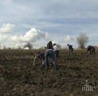 Инициатива: Доброволци започнаха засаждането на дръвчета край София