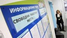 Работна ръка: На трудовия пазар във Варна се търсят...