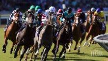 Разсеяна американка за малко да загуби печелившия си фиш от вълнение