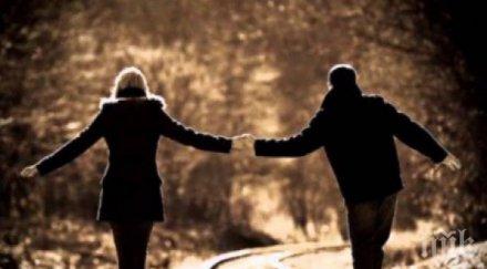 технология търси сродна душа