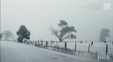 македония падна първият сняг