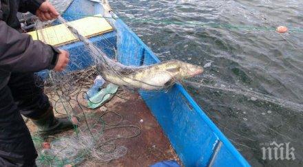 заловиха бракониери лодки мрежи язовир полски тръмбеш