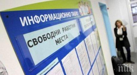 работна ръка трудовия пазар варна търсят