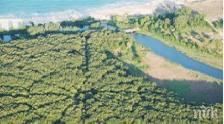 мистерия нло засажда гора приморско