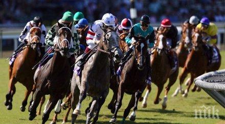 разсеяна американка загуби печелившия фиш вълнение